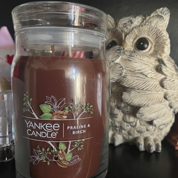 Yankee Candle Other - Yankee Candle Praline & Birch Signature Collection 2-Wick 20 oz Large Ja…